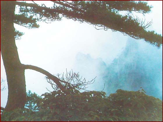 1555572171.jpg sy0507.jpg