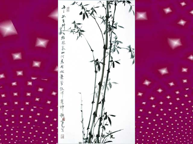 1555755784.jpg sh1406.jpg