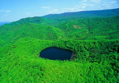 1555761533.jpg t010401.jpg