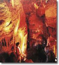 1555761650.jpg t010501.jpg