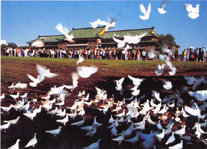 1555764570.jpg t021102.jpg