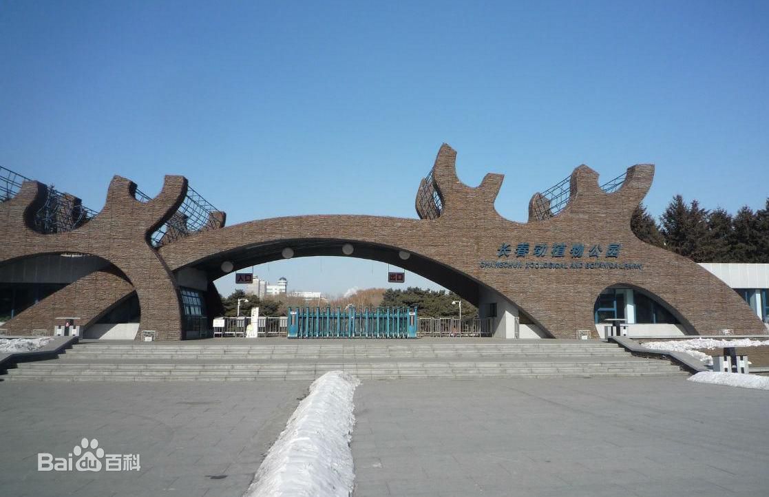 1555765035.jpg ccdzwy.jpg